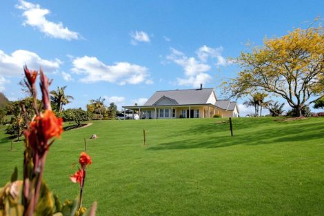 Photo of property in 41 Retreat Road, Haruru, 0204