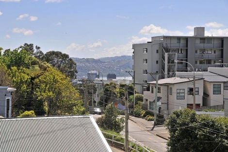 Photo of property in 172u1 Ohiro Road, Brooklyn, Wellington, 6021