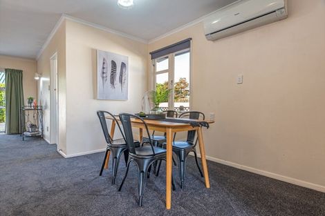 Photo of property in 24 Salisbury Avenue, Terrace End, Palmerston North, 4410