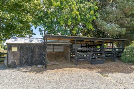 Photo of property in 141 Racecourse Road, Cambridge, 3493