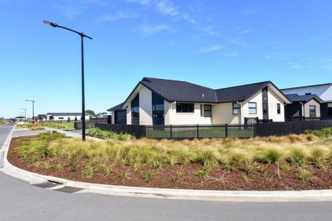 Photo of property in 12 Lulu Avenue, Chartwell, Hamilton, 3210