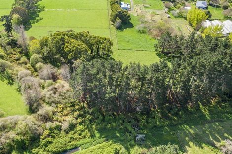 Photo of property in 82 Jacksons Road, Koputaroa, Shannon, 5575
