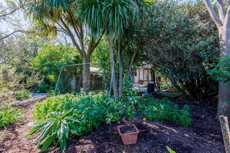 Photo of property in 156 Cole Street, Masterton, 5810