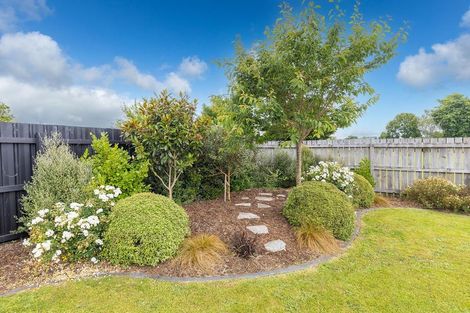 Photo of property in 31 Halberg Crescent, Chartwell, Hamilton, 3210