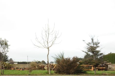 Photo of property in 667 Queens Drive, Waikiwi, Invercargill, 9810