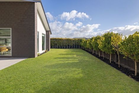 Photo of property in 40 Farrier Street, Papamoa, 3118