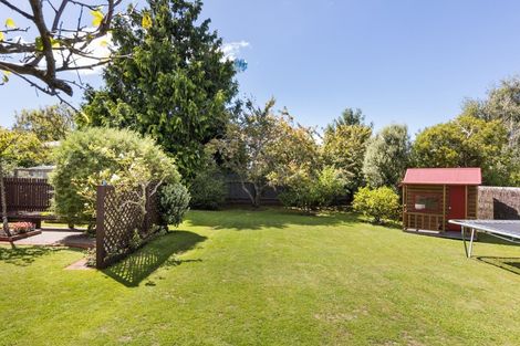Photo of property in 15 Pirinoa Street, Feilding, 4702