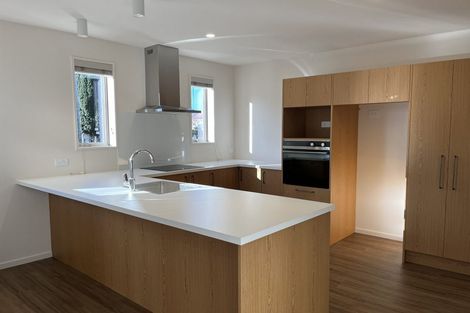 Photo of property in 395 Selwyn Street, Addington, Christchurch, 8024