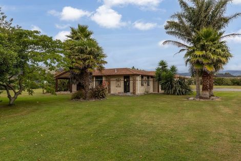 Photo of property in 65 Pohutukawa Drive, Levin, 5571