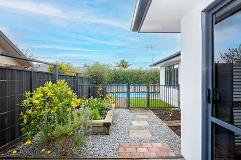 Photo of property in 55 Palmbrook Avenue, Havelock North, 4130
