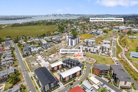 Photo of property in 100 Cadness Street, Northcote, Auckland, 0627
