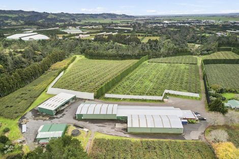 Photo of property in 288a No 3 Road, Te Puke, 3183