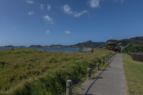 Photo of property in 42 Skippers Road, Opito Bay, Whitianga, 3592