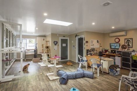 Photo of property in 222 Main Road South, Raumati South, Paraparaumu, 5032