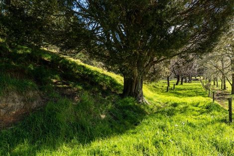 Photo of property in 42 Tirohanga Road, Kawakawa, 0282