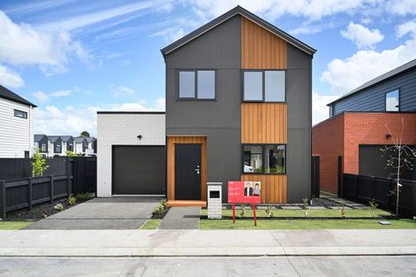 Photo of property in 21 Joint Avenue, Chartwell, 3210