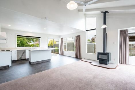 Photo of property in 45a Tudor Street, Motueka, 7120