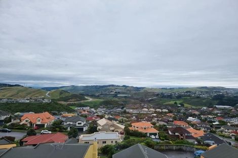 Photo of property in 25 Sandybrow, Churton Park, Wellington, 6037