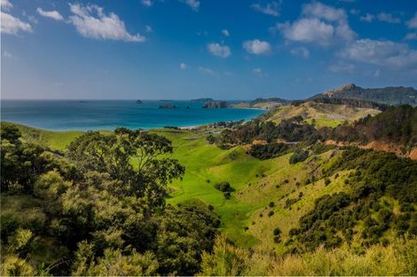 Photo of property in 2 Matapaua Bay Road, Opito Bay, Whitianga, 3592