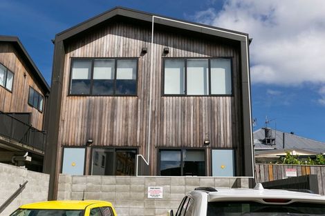 Photo of property in Aniva Terrace, 12 Arney Street, Newtown, Wellington, 6021