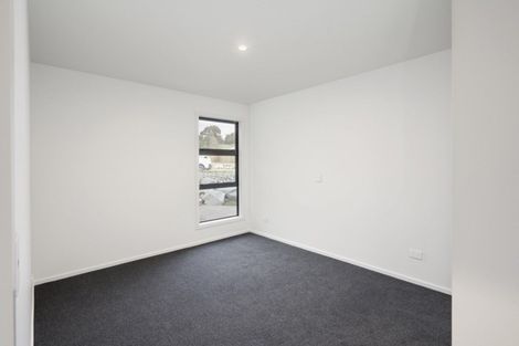 Photo of property in 16 Sabine Drive, Richmond, 7020