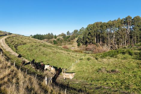 Photo of property in 3 Mackenzie Point Rise, Oamaru North, 9492