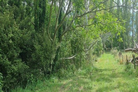 Photo of property in 47 Te Whanga Road, Levin, 5572