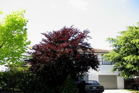 Photo of property in 8 Langham Place, Redwood, Christchurch, 8051