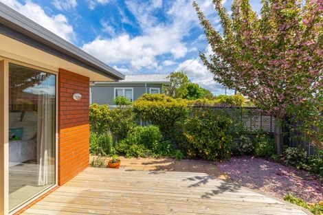 Photo of property in 113 Charles Street, Blenheim, 7201