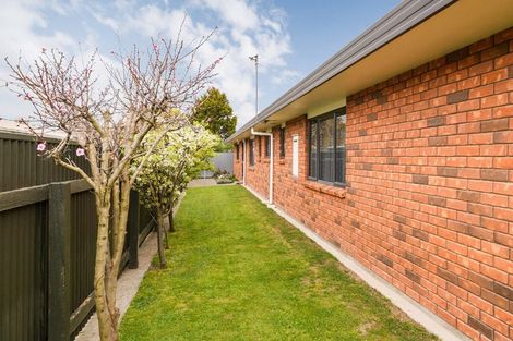 Photo of property in 157a Manchester Street, Feilding, 4702