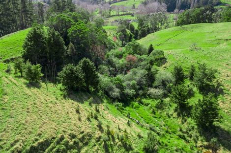 Photo of property in 42 Tirohanga Road, Kawakawa, 0282