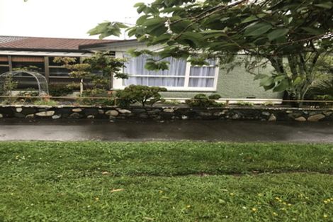 Photo of property in 78 Halifax Street East, The Wood, Nelson, 7010