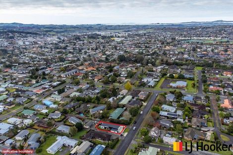 Photo of property in 16 Puriri Road, Pukekohe, 2120