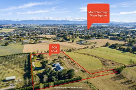 Photo of property in 144 Dublin Street, Martinborough, 5711