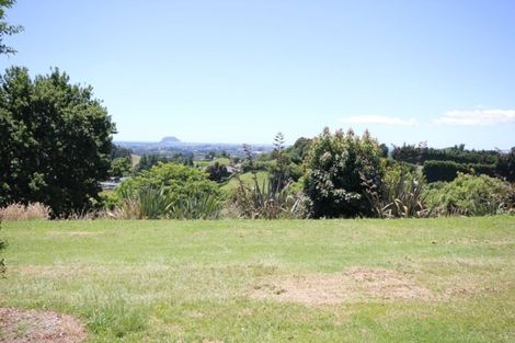 Photo of property in 229b Crawford Road, Minden, Tauranga, 3171