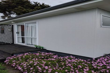 Photo of property in 7 Saxton Street, Levin, 5510