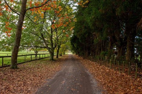 Photo of property in 221 Hamurana Road, Hamurana, Rotorua, 3097