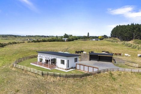 Photo of property in 1121 Parewanui Road, Parewanui, Bulls, 4894