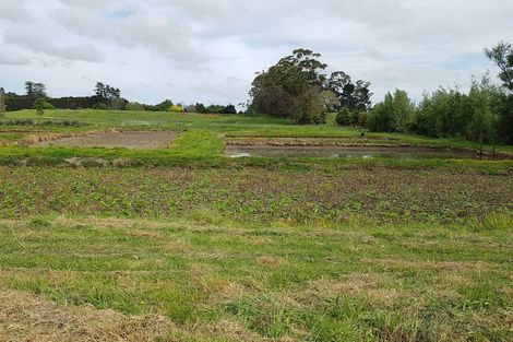 Photo of property in 150 Mauku Road, Patumahoe, Pukekohe, 2678