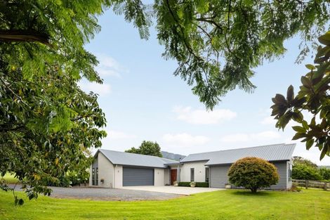 Photo of property in 400 O'shea Road, Pirongia, Te Awamutu, 3876