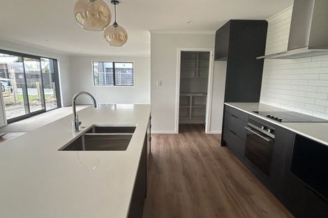 Photo of property in 17 Te Au Rere Crescent, Cambridge, 3434