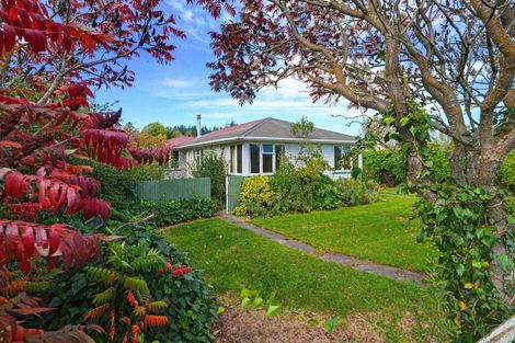 Photo of property in 24 Hawkswood Street, Waiau, 7332