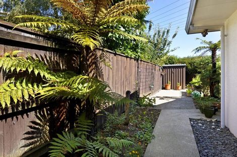 Photo of property in 20-f Bledisloe Avenue, Stoke, Nelson, 7011