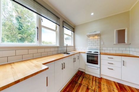 Photo of property in 195 Bedford Street, Cannons Creek, Porirua, 5024