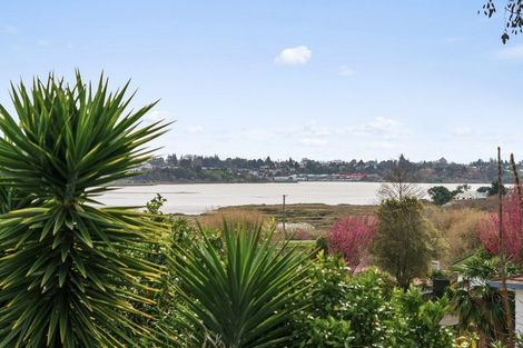 Photo of property in 101b Ohauiti Road, Hairini, Tauranga, 3112
