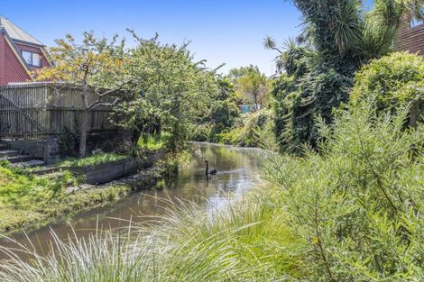 Photo of property in 4c Wichita Place, Burwood, Christchurch, 8083