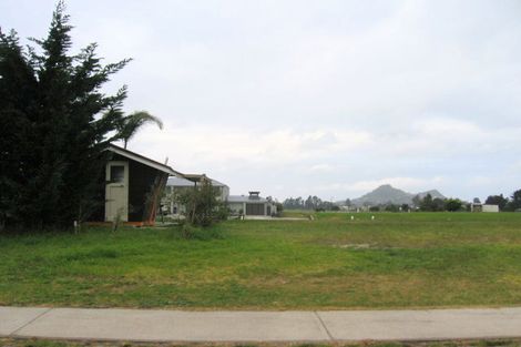 Photo of property in 135 Motu Hei, Pauanui, Hikuai, 3579