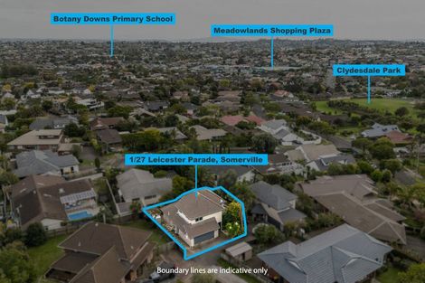 Photo of property in 1/27 Leicester Parade, Somerville, Auckland, 2014