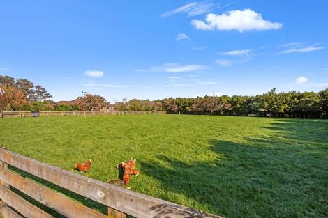 Photo of property in 468 Tararua Road, Levin, 5571