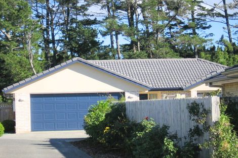 Photo of property in 77 Hillwell Drive, Henderson, Auckland, 0612